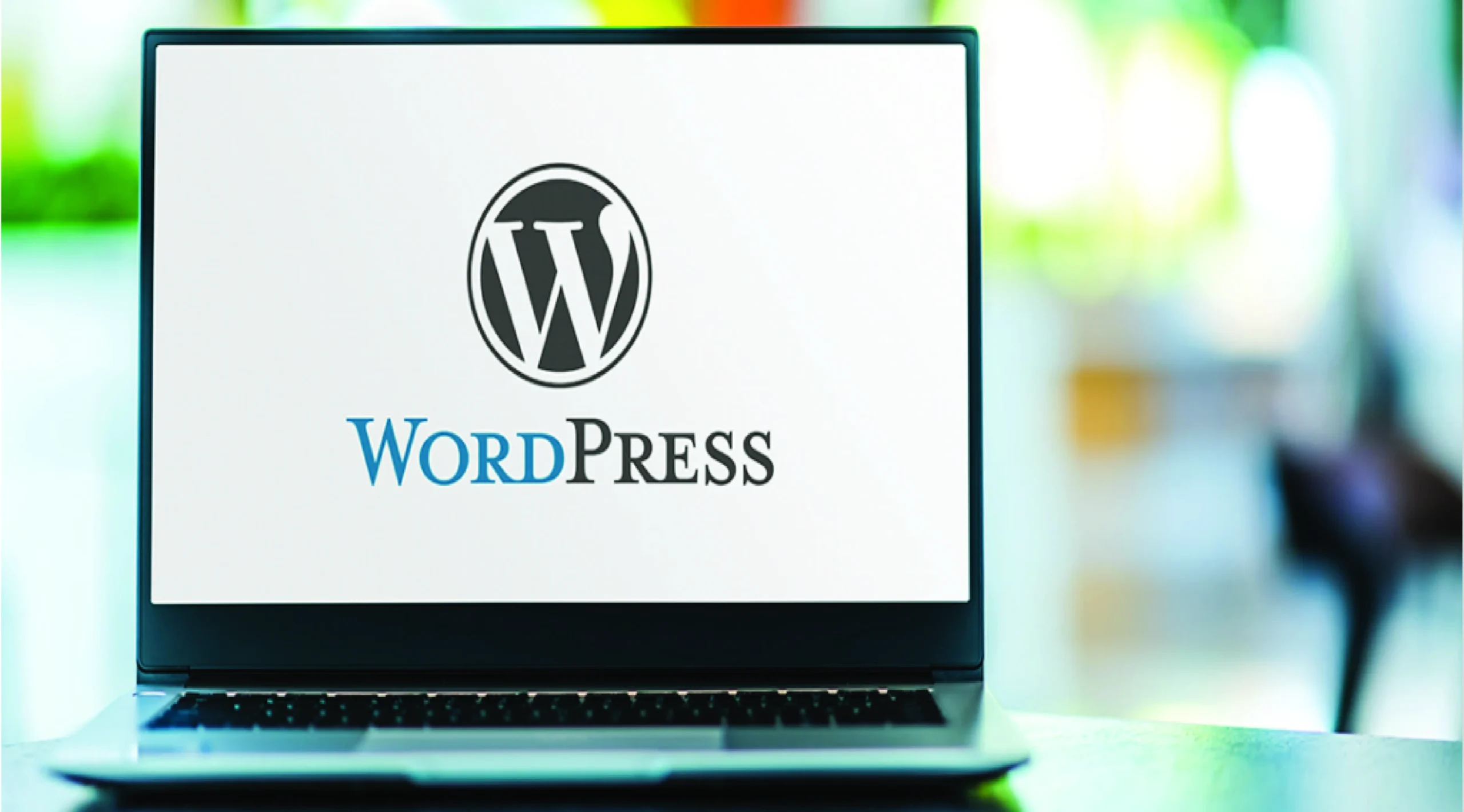 WordPress